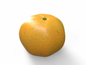 Orange 3D Model