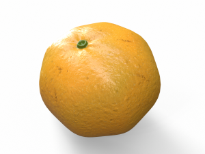 Orange Modello 3D