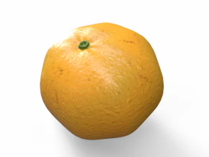 Orange 3D Model