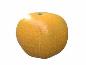 Orange Modello 3D