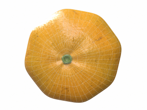 Orange Modello 3D