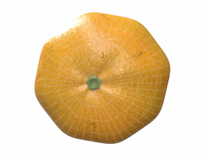 Orange 3D Model