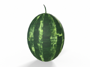 Watermelon 3D Models