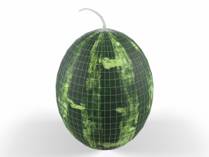 Watermelon Modello 3D