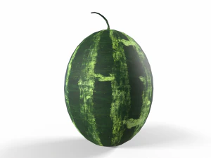 Watermelon 3D Model