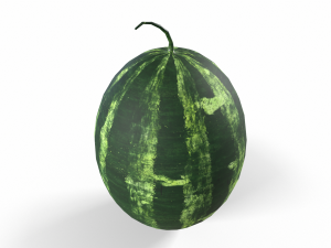 Watermelon Modello 3D