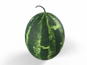Watermelon 3D Model