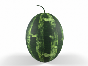 Watermelon Modello 3D