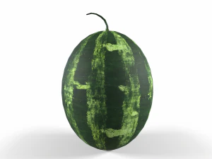 Watermelon 3D Model