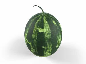 Watermelon 3D Model