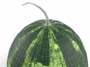 Watermelon 3D Model