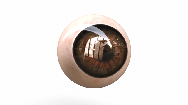 Human Eye 3D मॉडल .c4d .max .obj .3ds .fbx .stl .blend 