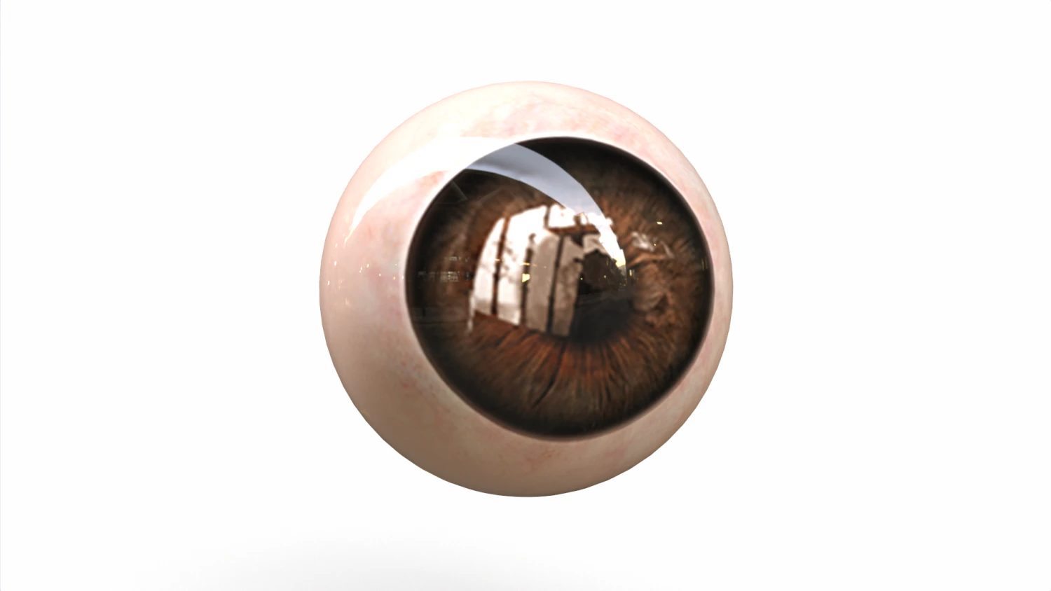 Human Eye 3D Model .c4d .max .obj .3ds .fbx .stl .blend