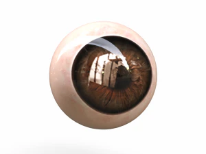Occhio umano Modello 3D