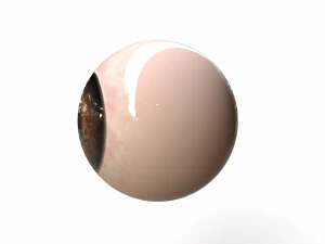 Human Eye 3D Model