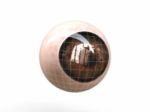 Human Eye 3D Model