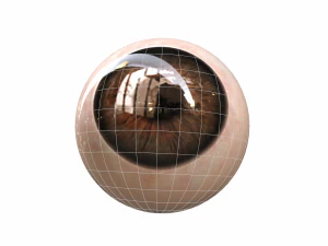 Human Eye 3D Model