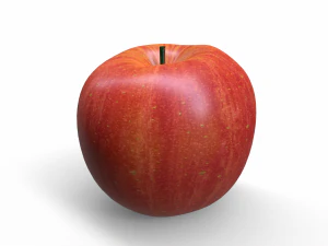 Apple fruit 3D Model