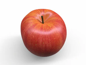 Apple fruit 3D Model