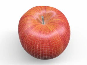 Apple fruit 3D Model