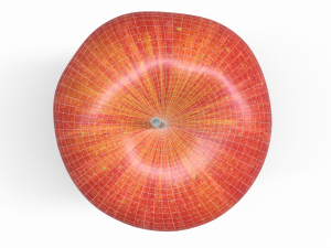 Apple fruit 3D-Modell
