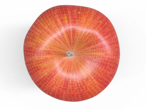 Apple fruit 3D Model