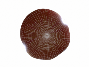 Apple fruit 3D-Modell