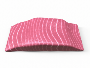 Fish meat 3D 模型
