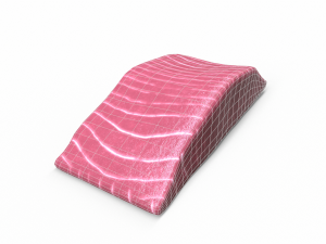 Fish meat 3D 模型