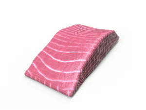 Fish meat 3D Model