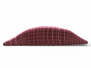 Fish meat 3D 模型