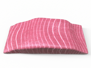 Fish meat 3D 模型