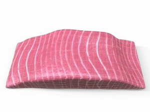 Fish meat 3D Model