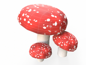 Red Mushrooms 3D Model