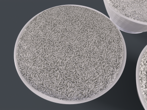 Rice bowl 3D Model