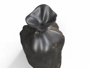 Trash bag 3D Model