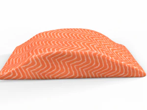 Salmon fish meat 3D Model