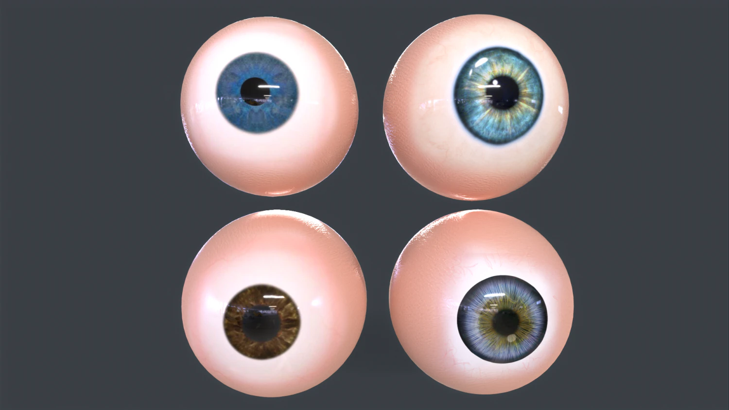Human Eyeball Pack 3D Model .c4d .max .obj .3ds .fbx .stl .blend