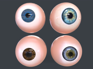 Human Eyeball Pack Model 3D