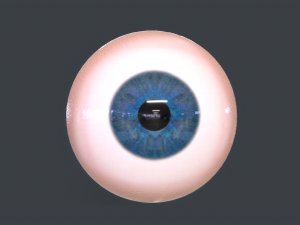 Human Eyeball Pack Modelo 3D