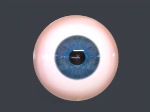 Human Eyeball Pack 3D Model