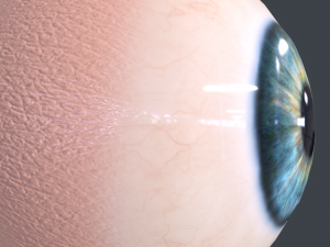 Human Eyeball Pack Modelo 3D