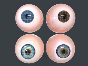 Human Eyeball Pack Modelo 3D