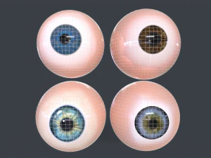 Human Eyeball Pack 3D Model