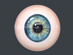 Human Eyeball Pack Modelo 3D