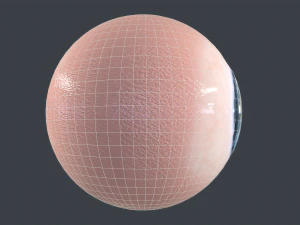 Human Eyeball Pack 3D Model