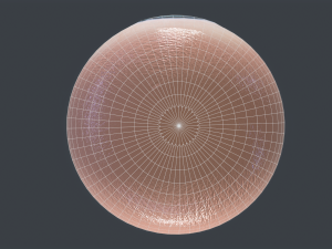 Human Eyeball Pack Modelo 3D