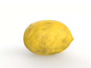 Lemon 3D Model