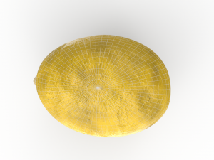 Lemon 3D-Modell