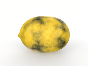 Lemon 3D-Modell